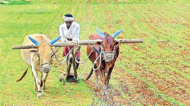 అన్నదాతలకు శుభవార్త 