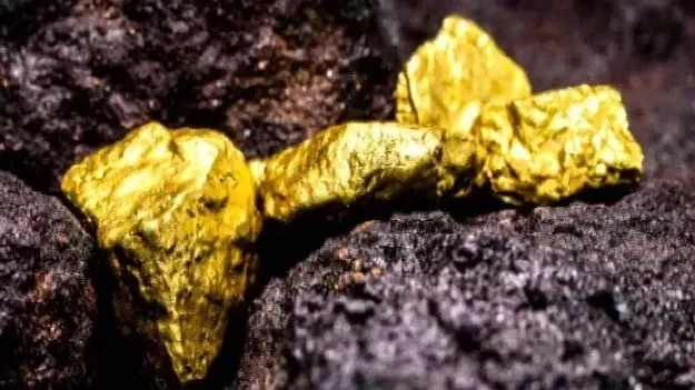 మున్నేరులో బంగారం అన్వేషణ