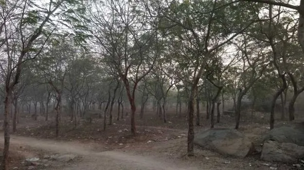 గుర్రంగూడ అటవీ ప్రాంతం రిజర్వ్ ఫారెస్ట్‌గా ప్రకటింపు