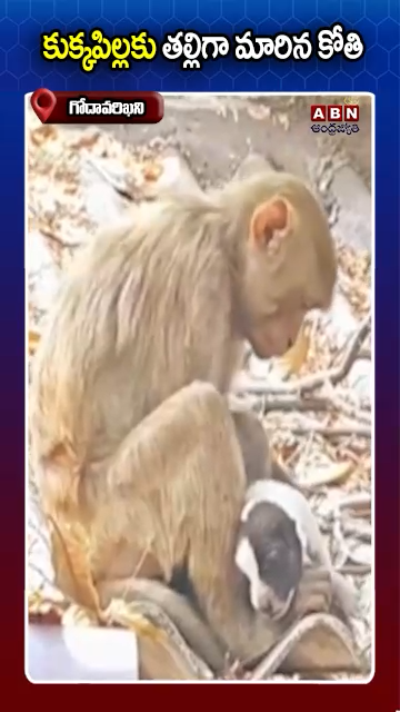 ABN Andhrajyothy Telugu Short News Video - Quick News Updates in 60 Seconds