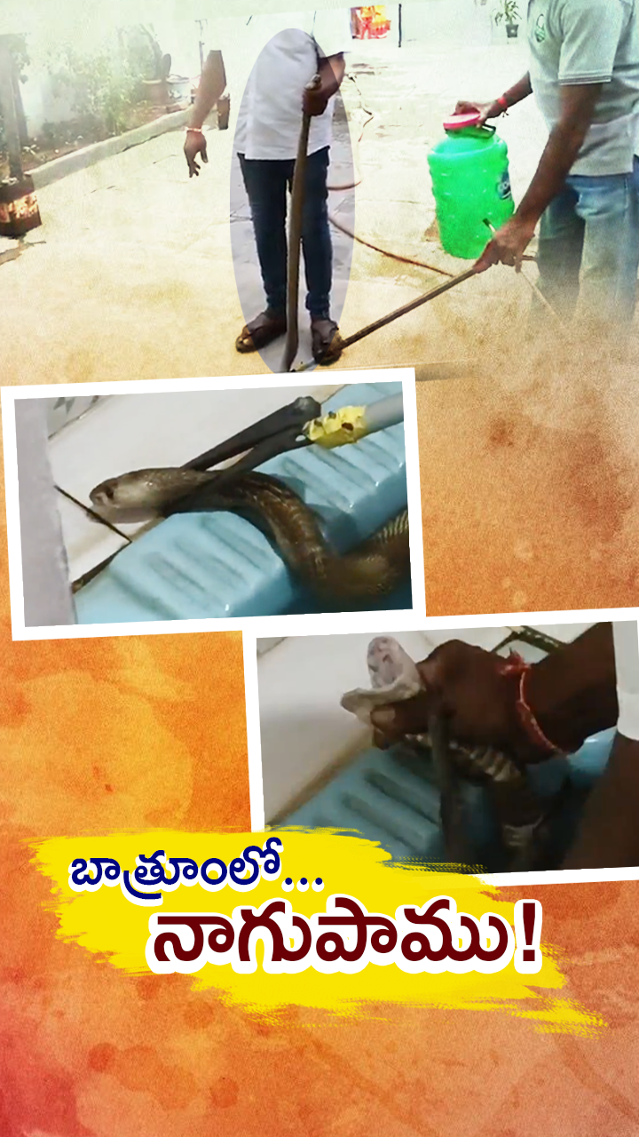 ABN Andhrajyothy Telugu Short News Video - Quick News Updates in 60 Seconds