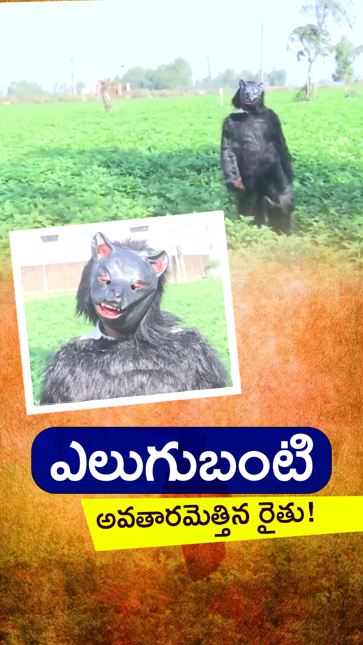 ABN Andhrajyothy Telugu Short News Video - Quick News Updates in 60 Seconds