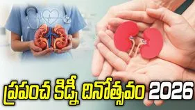ప్రపంచ కిడ్నీ దినోత్సవం 2026.. ఆరోగ్యకరమైన జీవనశైలితో కిడ్నీలను కాపాడుకోండి