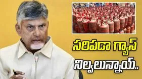 మరో 15 రోజులకు అవసరమైన గ్యాస్ నిల్వలు సిద్ధం: సీఎం చంద్రబాబు
