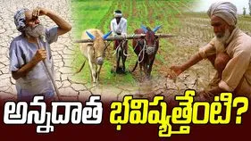 ఎల్పీజీకి ప్రత్యామ్నాయాలున్నాయ్.. మరి LNG లేకపోతే రైతు పరిస్థితేంటి.?