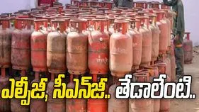 ఎల్పీజీ, సీఎన్‌జీ, పీఎన్‌జీ.. ఈ గ్యాస్‌ల మధ్య తేడాలేంటో తెలుసా? 