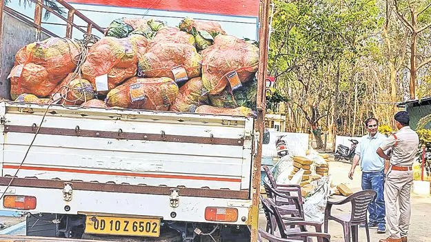 రూ.3.2 కోట్ల గంజాయి పట్టివేత