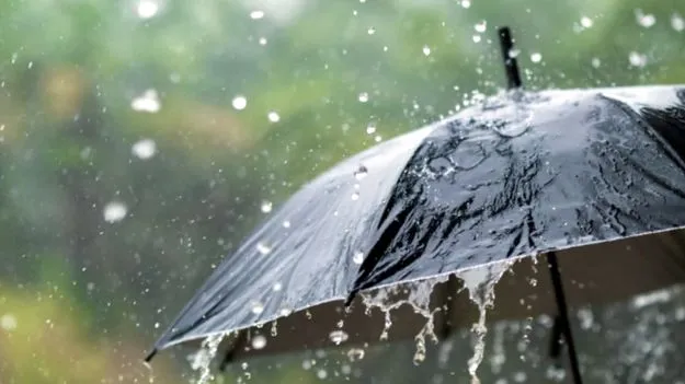 కోస్తా, రాయలసీమలకు వర్షసూచన