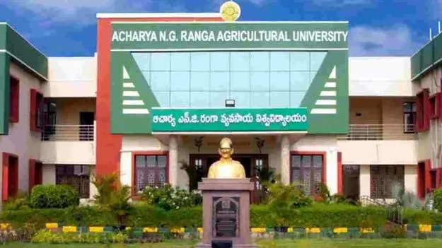 ముందస్తు వ్యవసాయ ప్రణాళిక మేలు