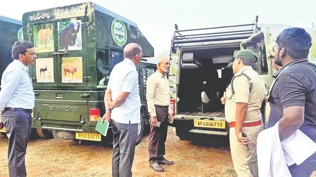 శంఖవరంలో పెద్ద పులి సంచారం