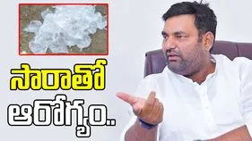 ఆ సారా తాగితే ఆరోగ్యం.. ప్రభుత్వానికి రూ. లక్ష కోట్ల ఆదాయం.. ఎమ్మెల్యే సంచలన వ్యాఖ్యలు