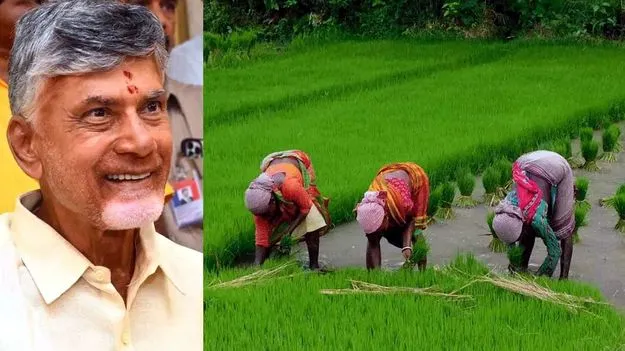 రెండున్నర గంటల్లోనే 99.75శాతం రైతుల ఖాతాల్లో జమ