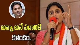 జగన్ హయాంలో వివేకా హత్య కేసులో ఏ ఒక్క ఆధారమైనా ఎందుకు బయటపెట్టలేదు.. షర్మిల ధ్వజం