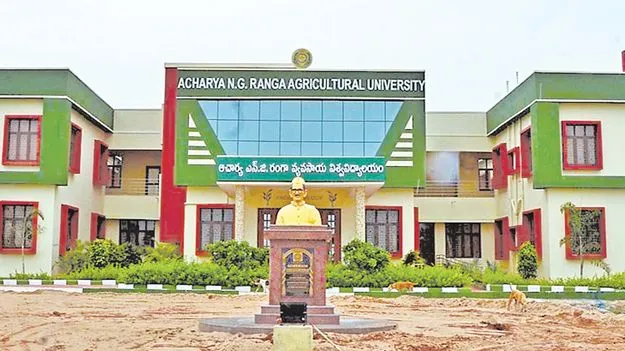 వీసీపై ప్రభుత్వం సీరియస్‌!