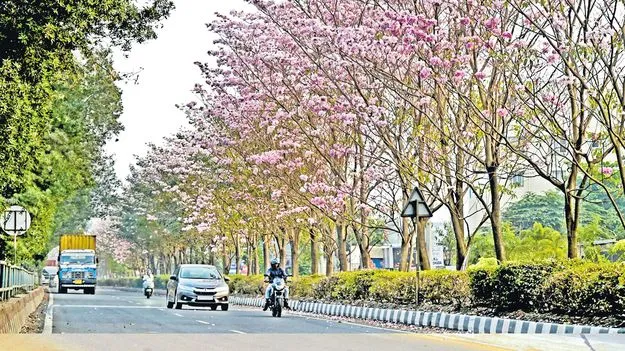 ఈ దారి...పూల దారి