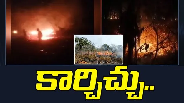 నల్లమల అడవిలో కార్చిచ్చు.. ఎగిసిపడుతున్న మంటలు..