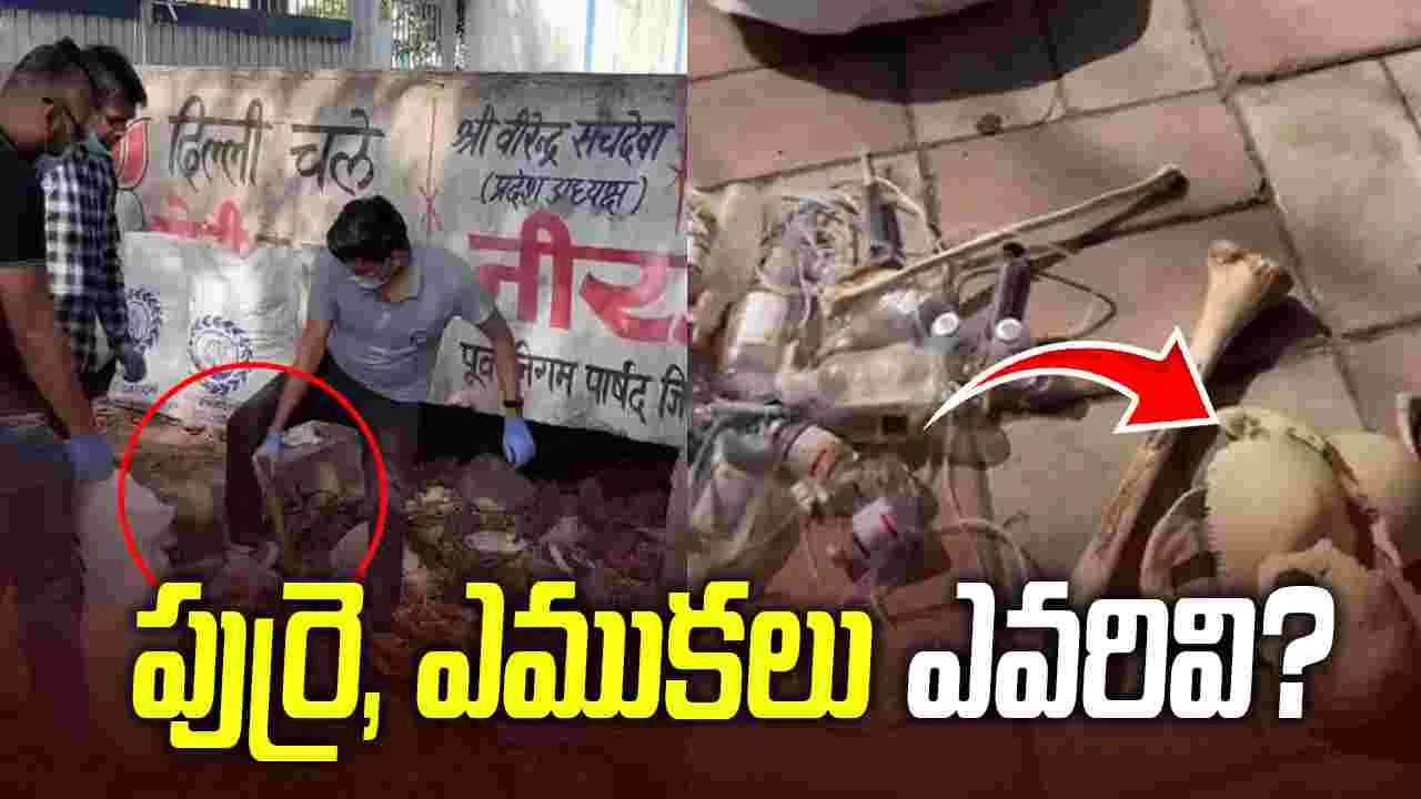 చెత్త క్లీన్ చేస్తుండగా బయటపడ్డ పుర్రె, ఎముకలు..  