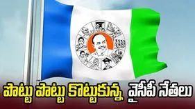ఒకరిపై ఒకరు పిడిగుద్దులు గుద్దుకున్న వైసీపీ నేతలు.. కారణమిదే