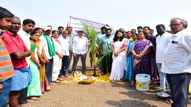 ఆయిల్‌పామ్‌ సాగుతో రైతుల ఆర్థికాభివృద్ధి