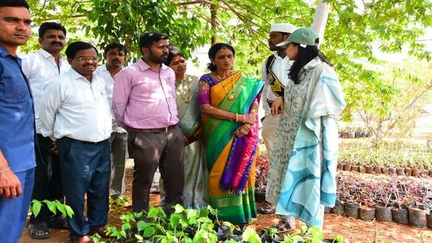 గృహావసరాలకు ఉపయోగపడే మొక్కలు పెంచాలి