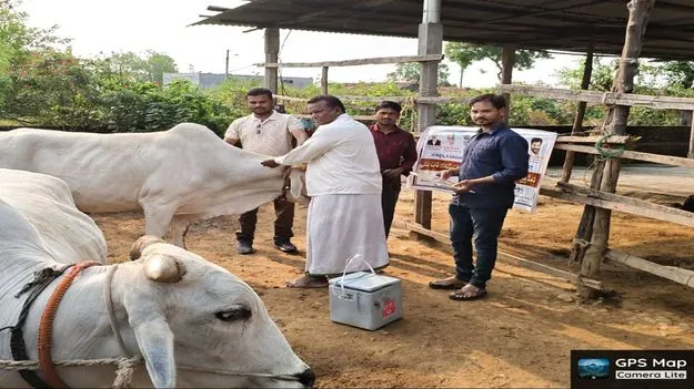 గాలికుంటు వ్యాధిపై టీకాస్త్రం