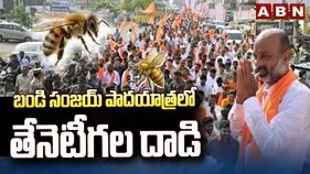 బండి సంజయ్ పాదయాత్రలో తేనెటీగల దాడి