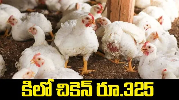 కిలో చికెన్‌ రూ.325