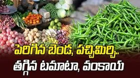 పెరిగిన బెండ, పచ్చిమిర్చి.. తగ్గిన టమాటా, వంకాయ