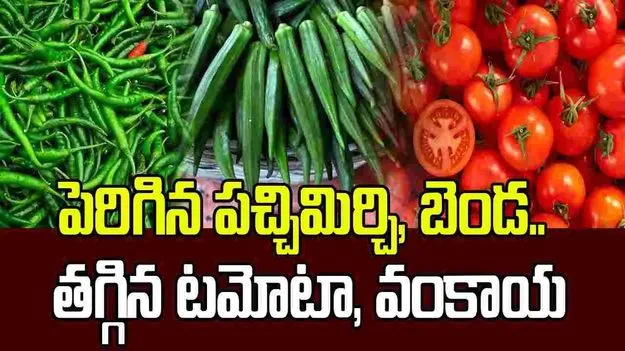 పెరిగిన పచ్చిమిర్చి, బెండ.. తగ్గిన టమోటా, వంకాయ