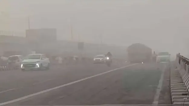 ఉదయం పొగమంచు.. మధ్యాహ్నం ఎండ