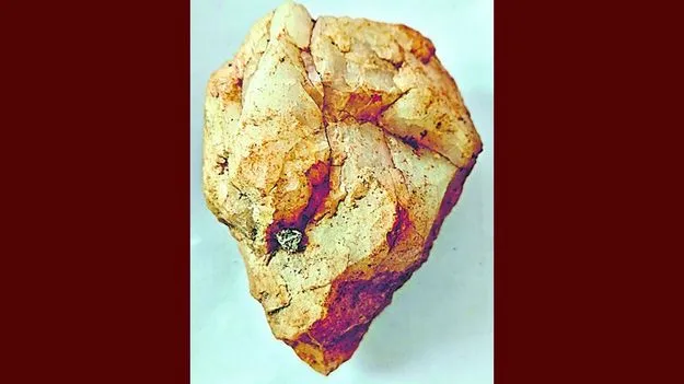 మంచిరేవులలో పాత రాతియుగం నాటి పనిముట్టు గుర్తింపు