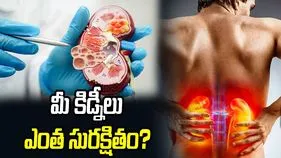 మీ కిడ్నీలు ఎంత సురక్షితం?