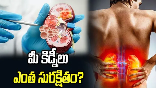 మీ కిడ్నీలు ఎంత సురక్షితం?