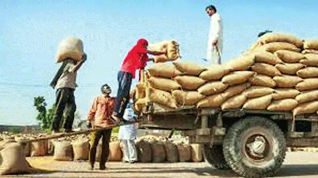 హమాలీ సొమ్ములేవి ?