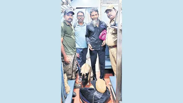 గంజాయిని గుర్తించిన లైకా