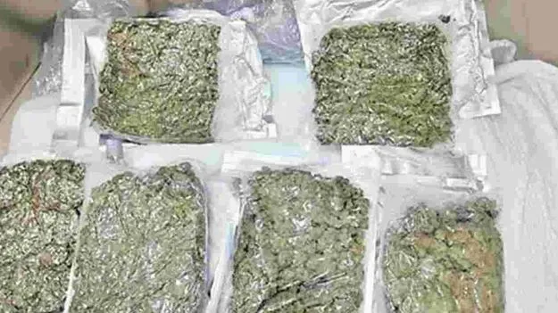 భద్రాచలంలో 52 కేజీల గంజాయి పట్టివేత.. 