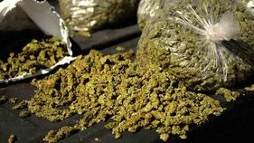 20 కేజీల గంజాయి అక్రమ తరలింపు.. నలుగురి అరెస్ట్