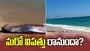 సముద్రం ఒడ్డున అరుదైన చేప.. మరో విపత్తు రానుందా?