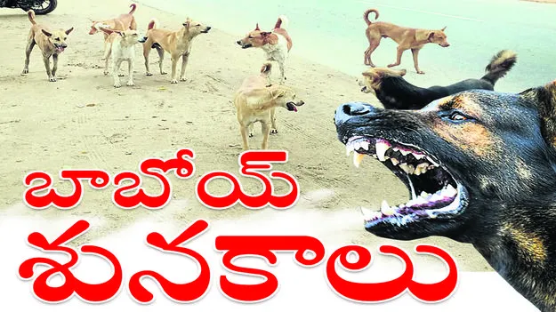 బాబోయ్‌ శునకాలు