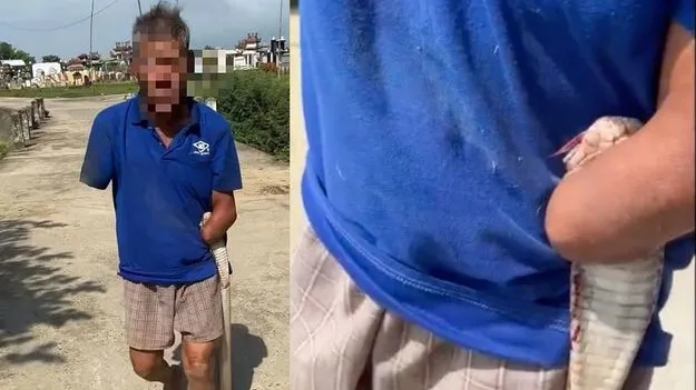 కాటేసిన పాముని పట్టుకుని ఆసుపత్రికి.. వృద్ధుడి సాహసం, వీడియో వైరల్!