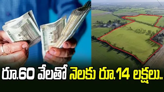 రూ.60 వేల పెట్టుబడితో నెలకు రూ.14 లక్షల ఆదాయం