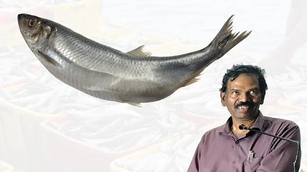 మత్స్యసంపదపైప్రాక్టికల్‌ అవగాహన పెంచే బీఎఫ్‌ఎస్సీ