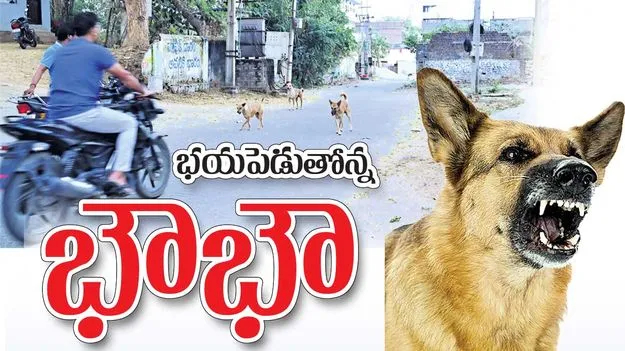 భయపెడుతోన్న భౌభౌ