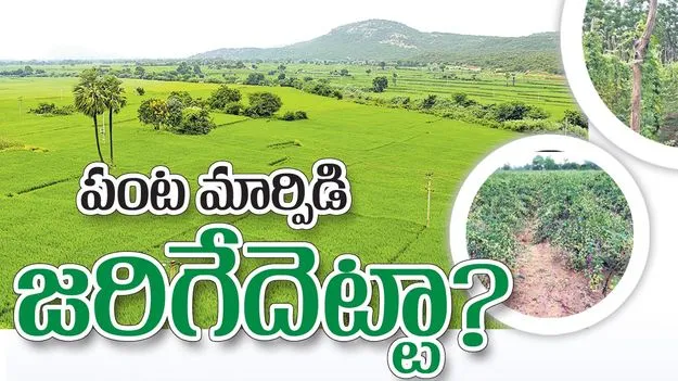 పంట మార్పిడి జరిగేదెట్టా?