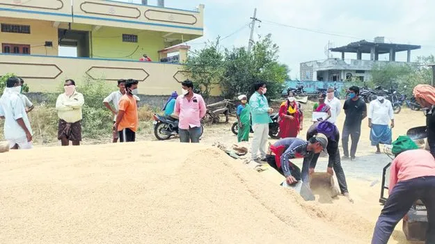 రికార్డు స్థాయిలో ధాన్యం కొనుగోళ్లు