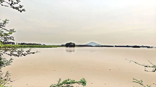 గోదావడి.. వడిగా..