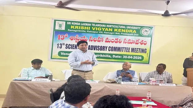 కూరగాయల సాగుకు ప్రణాళిక