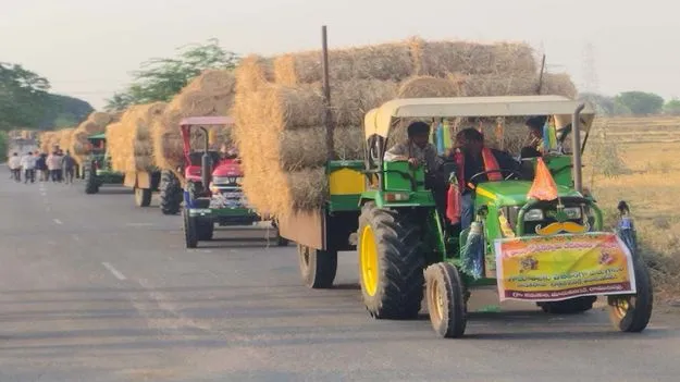 రాజన్న కోడెలకు పశుగ్రాసం