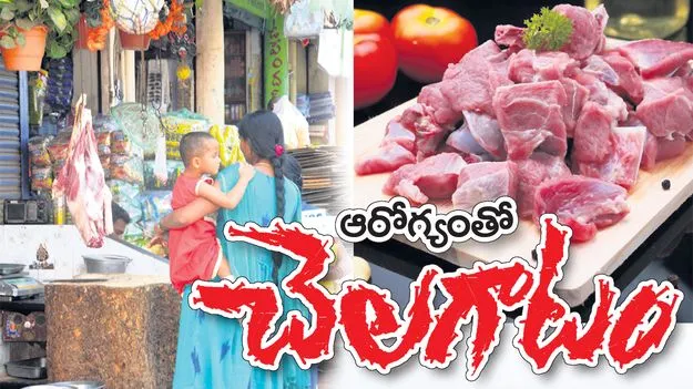 ప్రజారోగ్యంతో చెలగాటం