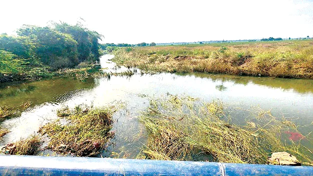  భీమసముద్రం గెడ్డ బాగుపడేనా?